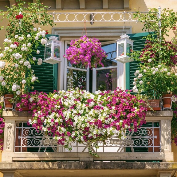 Уголок Франции на балконе! Создайте своими руками цветущий сад