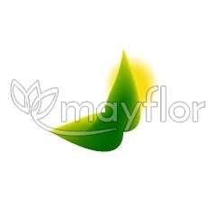 Дипсис Лютесценс Арека Areca Hydro 21/160